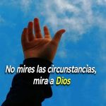 Ciro Sepúlveda - @ciroanthonio - Instagram