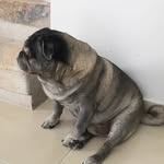 Ciro Edilberto Leal Sotomayor - @manoloedilberto - Instagram
