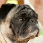 Ciro Edilberto Leal Sotomayor - @celeals - Instagram