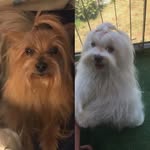 Sissy & Thomas - @sissy_thomas_88 - Instagram