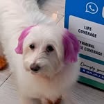 Sissy Thomas - @sissy.thomas.3760 - Instagram