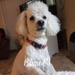 Sissy Thomas - @sissy.thomas - Instagram