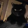 c.j._.anderson - @c.j._.anderson - TikTok