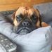 CJ Dunham - Facebook
