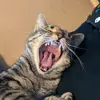 cj - @cj.keller - TikTok