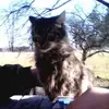 CJBeller - @cjbeller - TikTok
