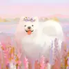 Joy ✨ - @cjjacobson417 - TikTok