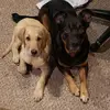 CJ Krueger - @cj.krueger00 - TikTok