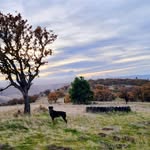 Carolyn McClure - @cjmcclure510 - Instagram