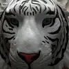 claireday  - @claire12257 - TikTok