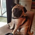 Clair Farley - @clair.farley.7 - Instagram