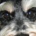Clair Gill - Facebook