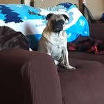 Claire Hoffman - @claire.hoffman.545849 - Instagram