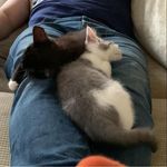 Claire Holmes - @claire.holland.777 - Instagram