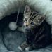 Clair James - Facebook