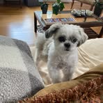 Clair Kim - Facebook