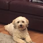 Claire Marshall - @claire.marshall.12720 - Instagram