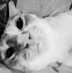Clair Mills Bernal - Facebook