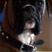 Clair Montgomery - Facebook