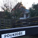Clair Parker - @poukioretopalmbeach - Instagram