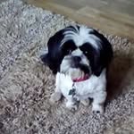 Clair Pearson - @pearson.clair - Instagram