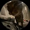 claire - @c.laireperkins - TikTok