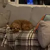 Claire_prior_cartwright - @claire_prior_cartwright - TikTok