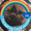 clairerankin555 - @clairerankin555 - TikTok