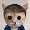 annaclairreeves - @annaclairreeves - TikTok
