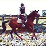 Claire Jackman - @claire.rogers.50 - Instagram