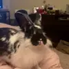 Claire Rogers - @claire.rogerss - TikTok
