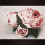 Clair Rose Beauty Supply .. - @clair_rose_hair_store__ - Instagram