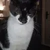 Clair Russell - @clair.russell1 - TikTok
