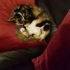 Clair Russell - @clair.russell2 - TikTok