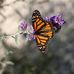 Clair Stauffer - Facebook