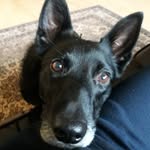 Clair Thompson - @clair20007 - Instagram