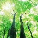 Clair Wang - @clair.wang.71 - Instagram
