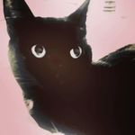 Clair Wheeler - @clair.wheeler1 - Instagram