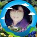 Claira Range - Facebook