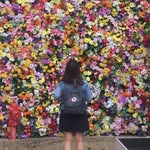 Claire Angus - @travelsfromno.6 - Instagram