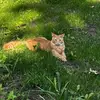 claire anne - @claire.a.lockwood - TikTok
