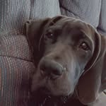 claire arnett - @clai.re2544 - Instagram