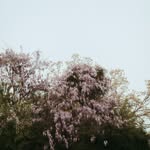Claire Barnett Creative NYC Photographer - @clairebarnettcreative - Instagram