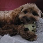 Claire Atkinson - Facebook