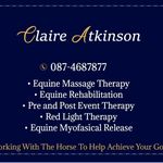 Claire Atkinson Equine Musculoskeletal therapies - @claireatkinsonequine - Instagram