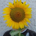 Claire Auger - Facebook