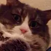 Claire - @claire_bartley - TikTok