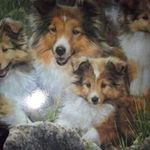 Claire Becker - @claire.becker.792740 - Instagram