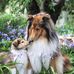 Claire Becker - Facebook