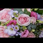 Claire Bloom - @englishgardenuk - Instagram